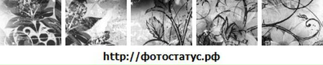 Софія Лиско фотография #1