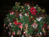 Анна Цымбал фотография #16 (источник - https://vk.com/id2266870)