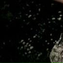 Віка Глинська фотография #38 (источник - https://vk.com/id124061235)