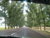 Иван Караяни фотография #28 (источник - https://vk.com/id3500440)