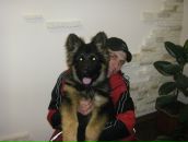 Діма Фандистий фотография #30 (источник - https://vk.com/id51900146)