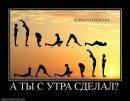 Фотография Сокол Анны