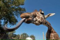 Іван Феденко фотография #31 (источник - https://vk.com/id7854794)