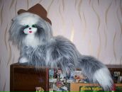 Фотография Жукова Виктора