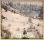 Роман Тимків фотография #28 (источник - https://vk.com/id21284730)