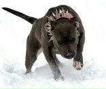 Фотография Koks Жеки