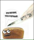 Владік Сировець фотография #38 (источник - https://vk.com/id169030197)