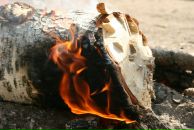 Максим Терентьев фотография #24 (источник - https://vk.com/id961502)