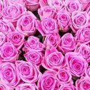 Іринка Ходинчак фотография #22 (источник - https://vk.com/id32260967)