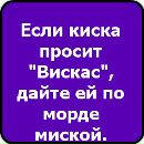 Вадим Лапін фотография #8 (источник - https://vk.com/id138296084)