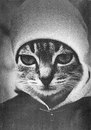 Юрій Мельниченко фотография #8 (источник - https://vk.com/id157057437)