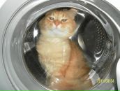 Світлана Білас фотография #22 (источник - https://vk.com/id125415399)