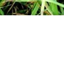 Іванка Мороз фотография #23 (источник - https://vk.com/id106515074)