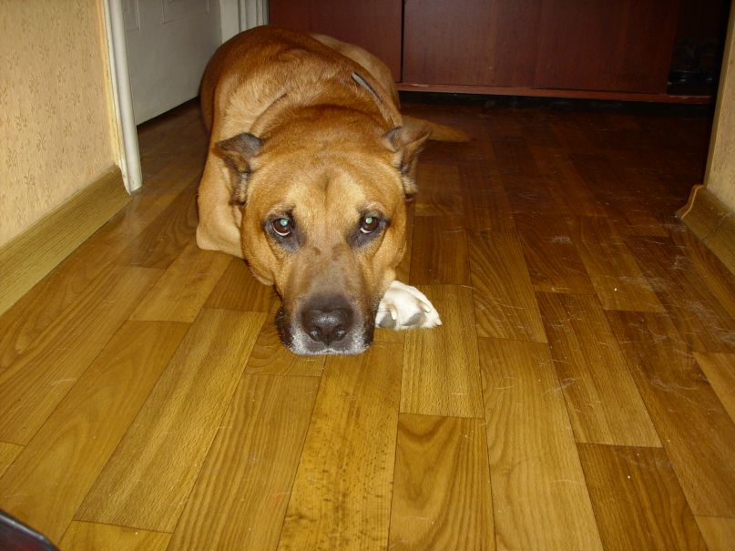 Дмитрий Ковтун фотография #31
