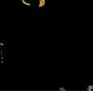 Віктор Пшенишний фотография #28 (источник - https://vk.com/id49689372)