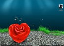 Даша Граділь фотография #29 (источник - https://vk.com/id161902614)