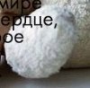 Олічка Шеремет фотография #31 (источник - https://vk.com/id143971260)