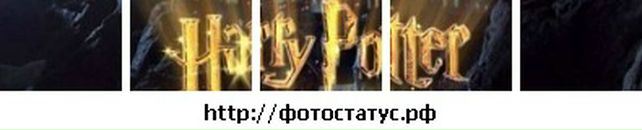 Тарас Савіцький фотография #29 (источник - https://vk.com/id87633390)