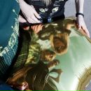 Фотография Романовского Ростислава