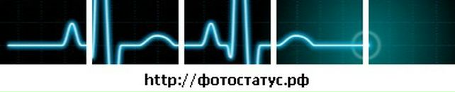 Віталій Шевчук фотография #36 (источник - https://vk.com/id20878859)