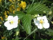 Фотография Кочетковой Татьяны