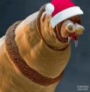 Фотография Высоцкого Дмитрия