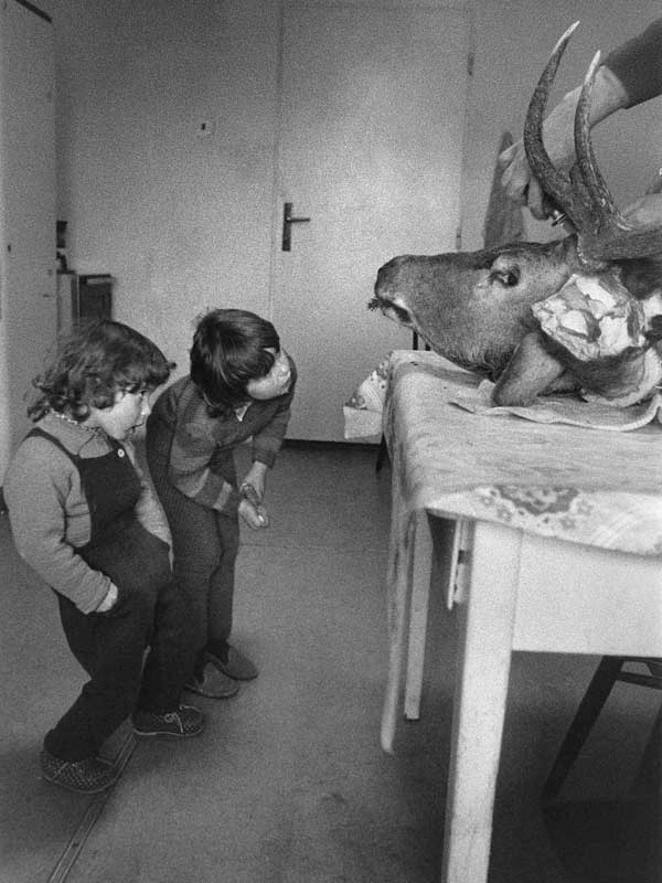 Евгений Биденко фотография #39