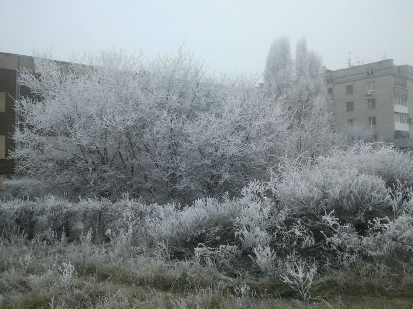 Дмитрий Фелюст фотография #21