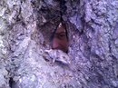 Ігор Кочура фотография #35 (источник - https://vk.com/id151301963)