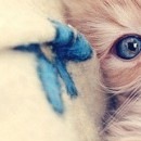 Олена Буклів фотография #44 (источник - https://vk.com/id89542478)