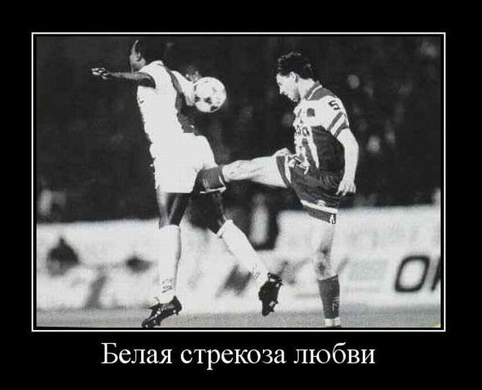 Дмитрий Медведев фотография #18