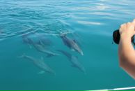 Ігор Дмитерко фотография #48 (источник - https://vk.com/id2264196)