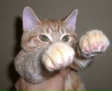 Фотография Шашкина Константина