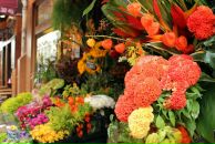 Алла Леонова фотография #43 (источник - https://vk.com/id986035)