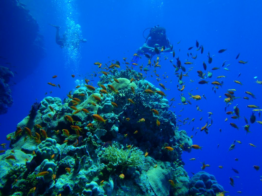 Vit Mi фотография #25