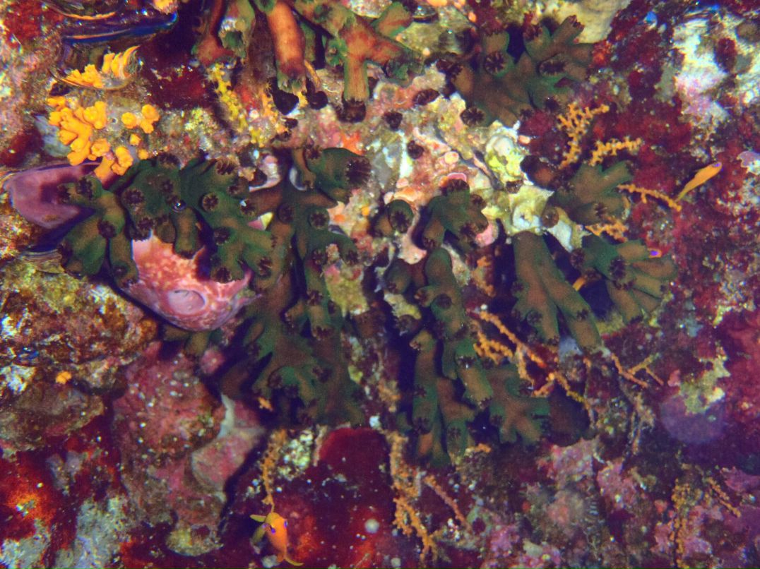 Vit Mi фотография #27