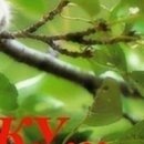 Настусік Радзік фотография #19 (источник - https://vk.com/id120908089)