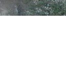 Серега Ворівський фотография #31 (источник - https://vk.com/id131807740)