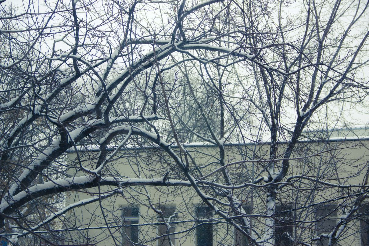 Leave Please фотография #28