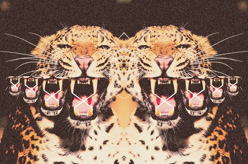 Catherine Timpanova фотография #32