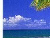 Лера Лоц фотография #15 (источник - https://vk.com/id57504657)