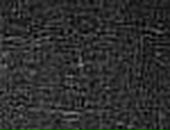 Тібі Петрович фотография #39 (источник - https://vk.com/id122833683)