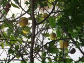 Наташа Родіонова фотография #15 (источник - https://vk.com/id13590232)