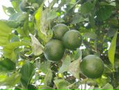 Наташа Родіонова фотография #21 (источник - https://vk.com/id13590232)