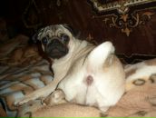 Фотография Григоренко Насти