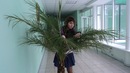 Не_такая_ Как_все фотография #6 (источник - https://vk.com/id155418150)