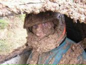 Фотография Яковенко Александра