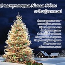 Фотография Егоровой Надюши