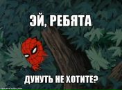 Айдар Баширов фотография #6 (источник - https://vk.com/id3944411)