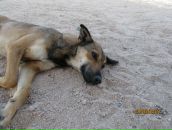 Фотография Васильевой Анны